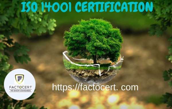 Environmental performance improvement and ISO certification in India.