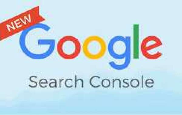 Utilizing Google Search Console for Immediate SEO Overviews