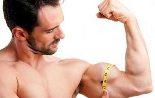 Grasp Rushed Promptly With These Stunning Muscle mass Shape Suggestions