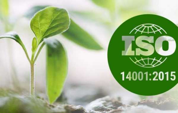 How to structure ISO 14001 documentation?