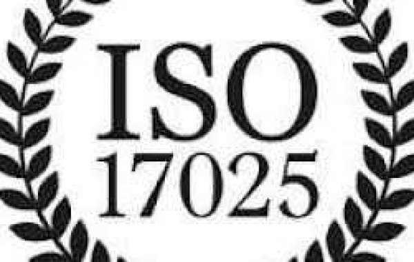 ISO 17025 Certification in Iraq technical internal audit: The basics