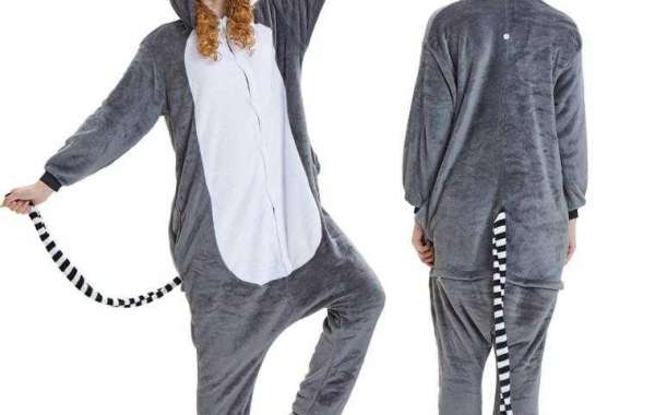 The Best Animal Kitty Suit For Your Cat