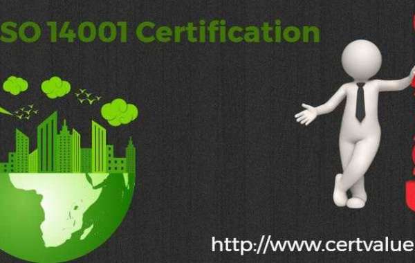 Examples of ISO 14001:2015 certification in Iraq objectives based on the different organization sizes