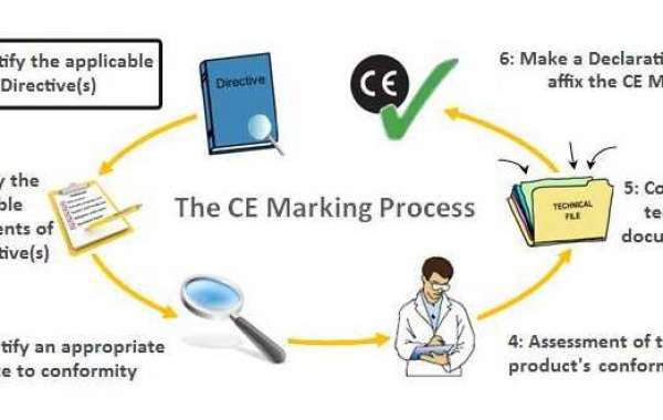 European CE Marking Strategy for Medical Devices