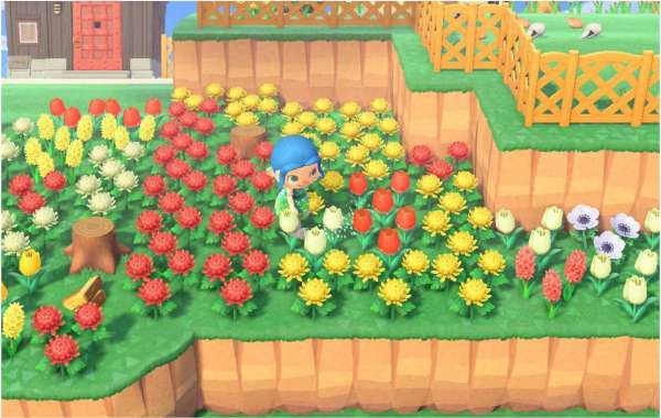 Animal Crossing: What happens if you stay online for 24 hours in the game