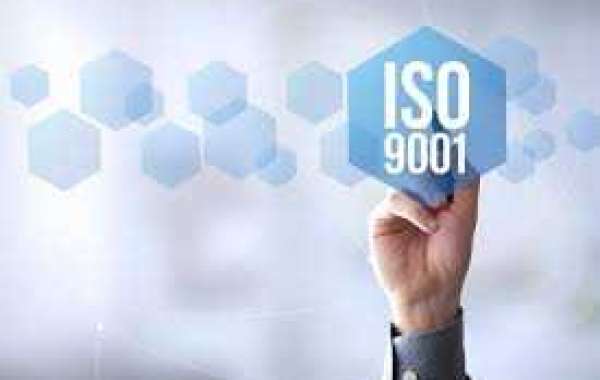 Implementing ISO 9001 in a nonprofit organization