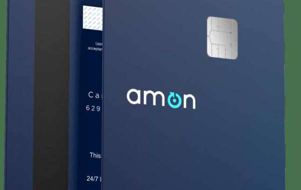 Common AMON LOGIN Problems and Troubleshooting Steps