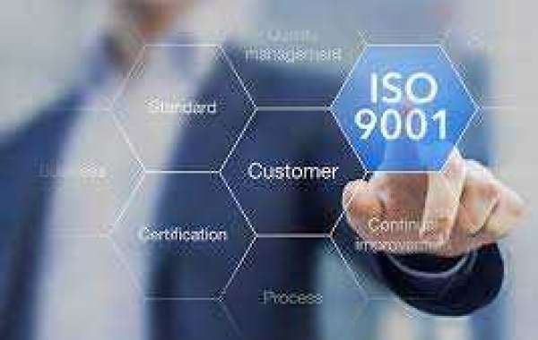 Implementing ISO 9001 in a nonprofit organization