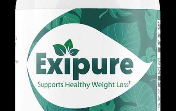 What Are The Exipure Australia Ingredients?