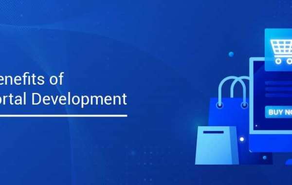 Exploring the Benefits of E-commerce Portal Development